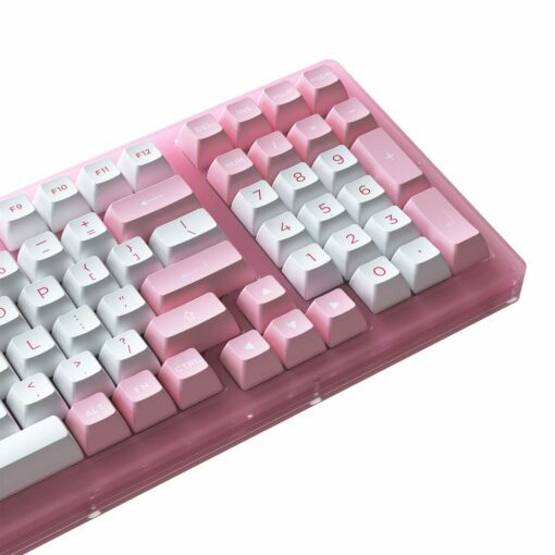 Bàn phím cơ AKKO ACR98 Pink (Hotswap / RGB / AKKO CS sw Jelly Pink) tại Nguyễn Vũ Store