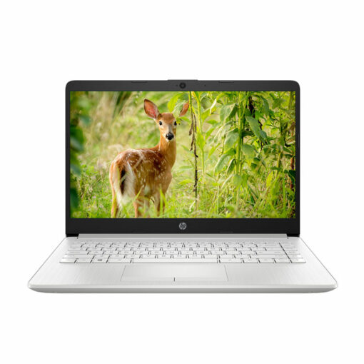 Laptop HP 14s cf2527TU 4K4A1PA