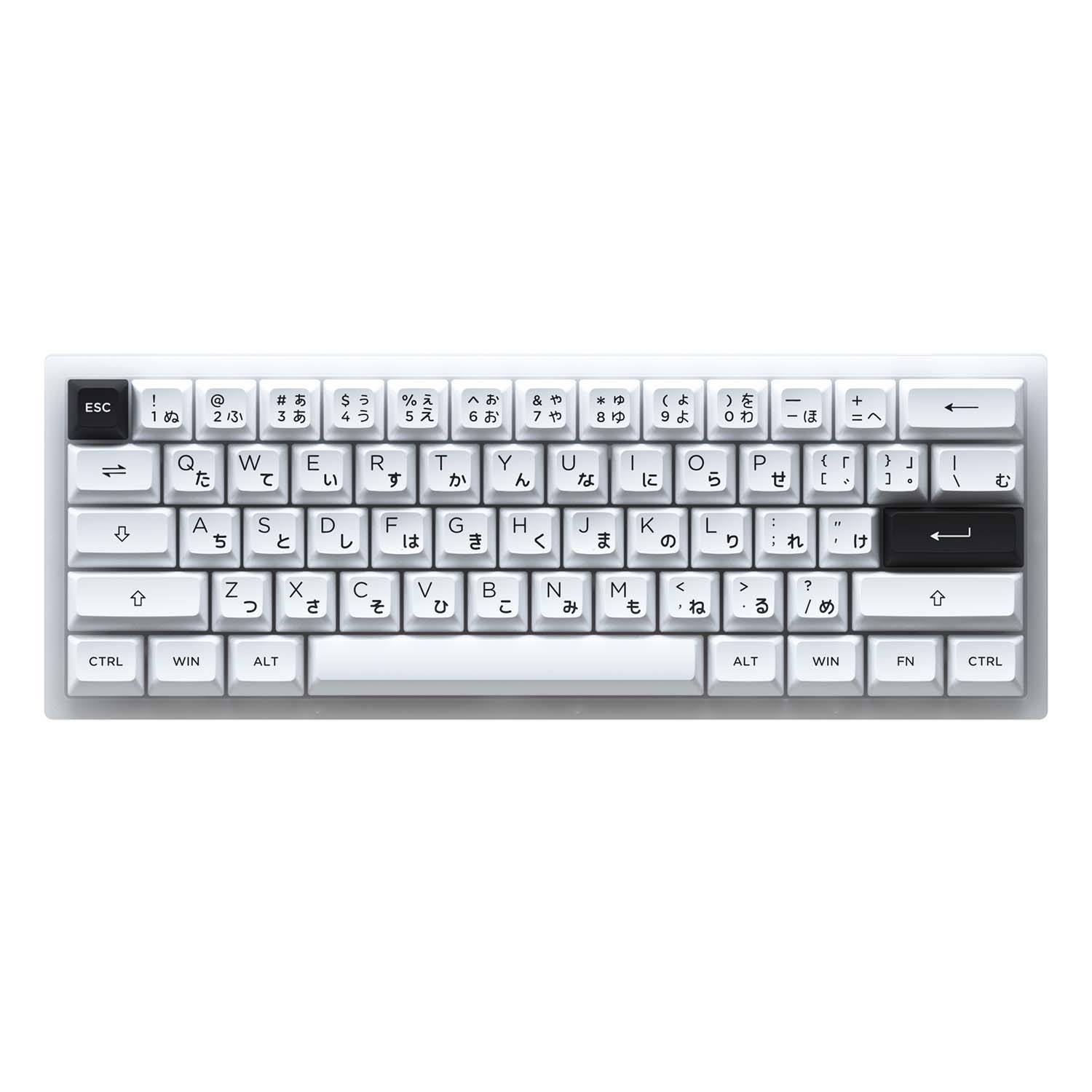 Bàn phím cơ AKKO ACR61 White AKKO CS sw Jelly White tại Nguyễn Vũ Store