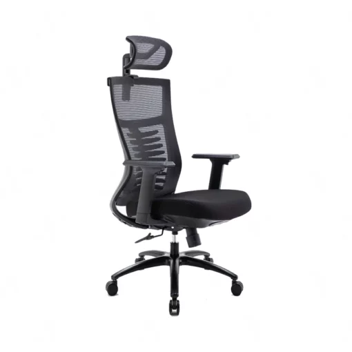 Ghế công thái học Ergonomic Warrior - WEC502 Đen