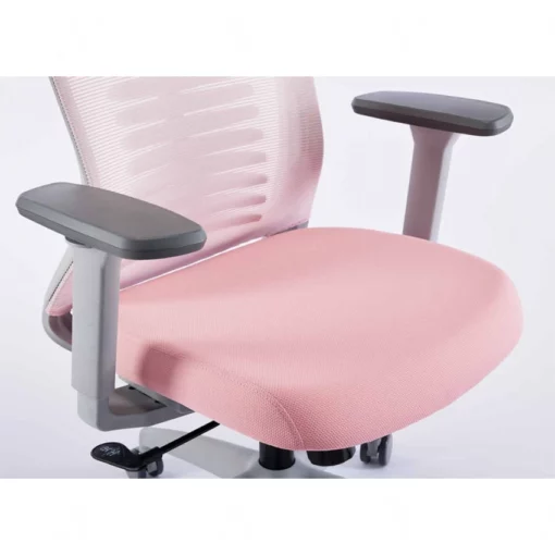 Ghế công thái học Ergonomic Warrior - WEC502 Pink