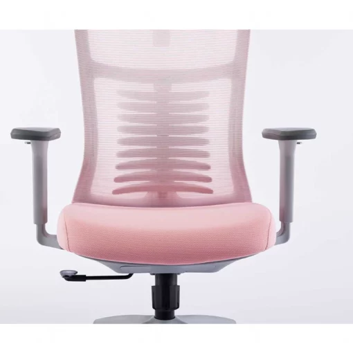 Ghế công thái học Ergonomic Warrior - WEC502 Pink