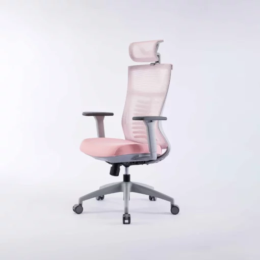 Ghế công thái học Ergonomic Warrior - WEC502 Hồng