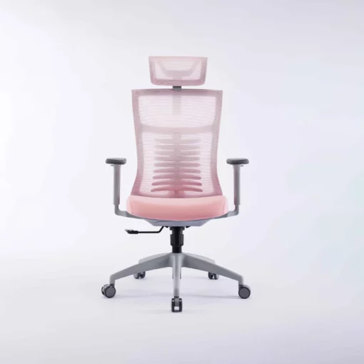 Ghế công thái học Ergonomic Warrior - WEC502 Hồng