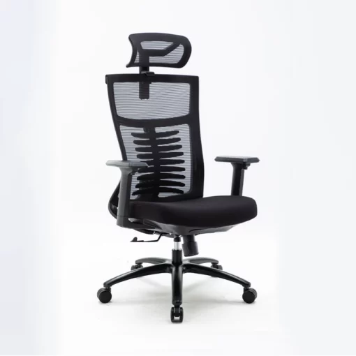 Ghế công thái học Ergonomic Warrior - WEC502 Plus Black