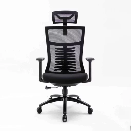 Ghế công thái học Ergonomic Warrior - WEC502 Plus Black