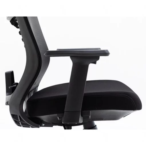 Ghế công thái học Ergonomic Warrior - WEC502 Black