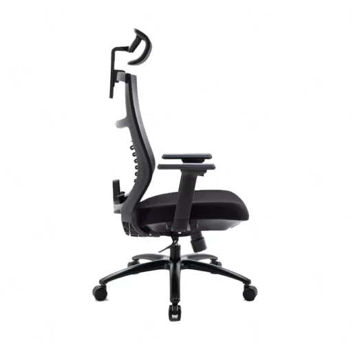 Ghế công thái học Ergonomic Warrior - WEC502 Black