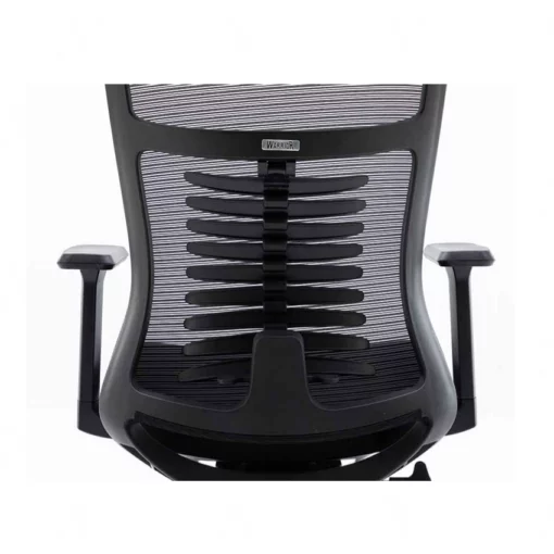 Ghế công thái học Ergonomic Warrior - WEC502 Đen