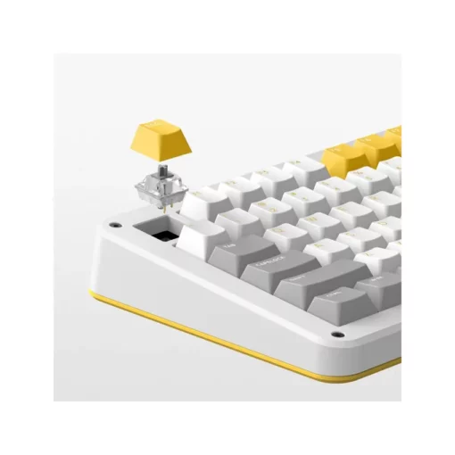 Bàn phím cơ IQUNIX ZX-75 Gravity Wave Wireless