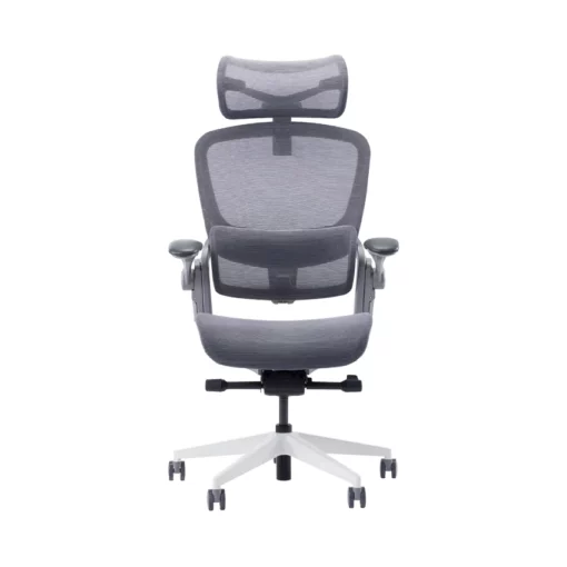 Ghế công thái học Epione Easy Chair 2.0 Xám