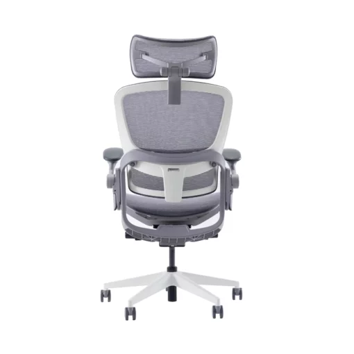 Ghế công thái học Epione Easy Chair 2.0 Xám