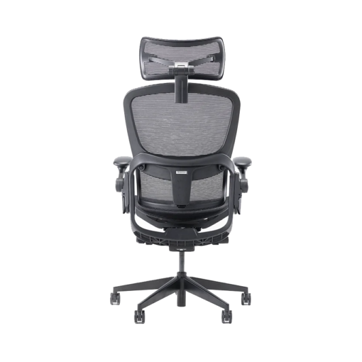 Ghế công thái học Epione Easy Chair 2.0 Đen Chính hãng