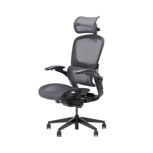 Ghế công thái học Epione Easy Chair 2.0 Đen Chính hãng