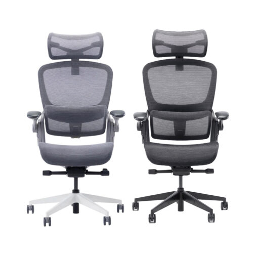 Ghế công thái học Epione Easy Chair 2.0 Chính hãng