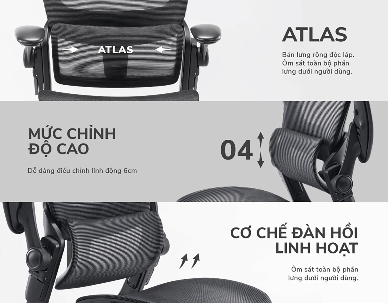 Ghế công thái học Epione Easy Chair 2.0 Chính hãng