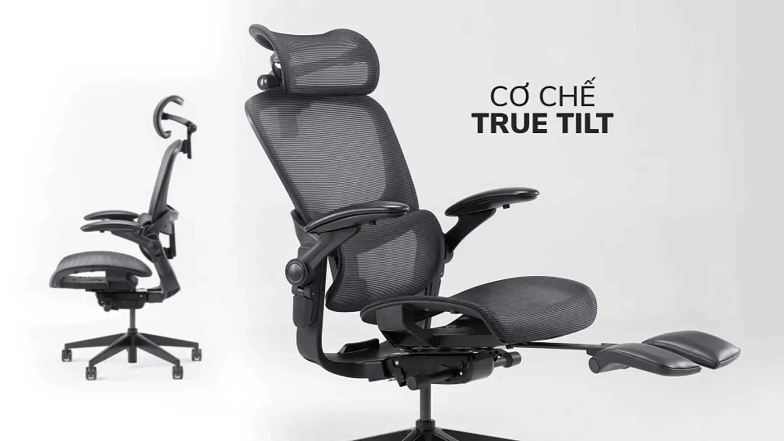 Ghế công thái học Epione Easy Chair 2.0 Chính hãng