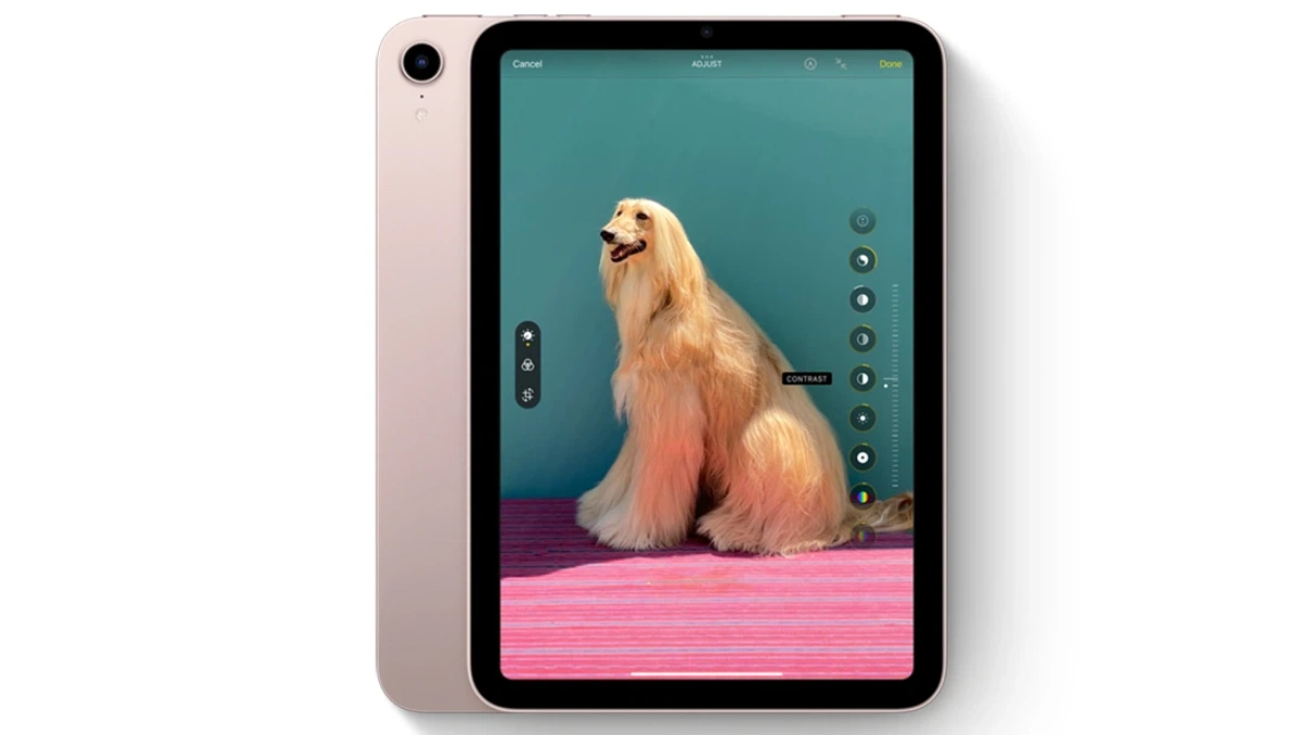 Apple iPad Mini 6 8.3-Inch Wifi camera sắc nét