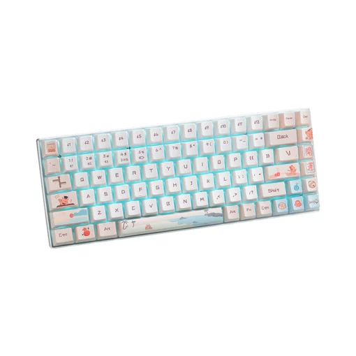 Bàn phím cơ Rapoo MT510PRO Blue Light Cat