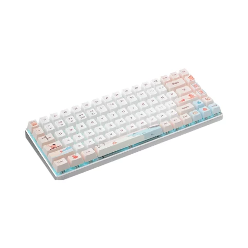 Bàn phím cơ Rapoo MT510PRO Blue Light Cat
