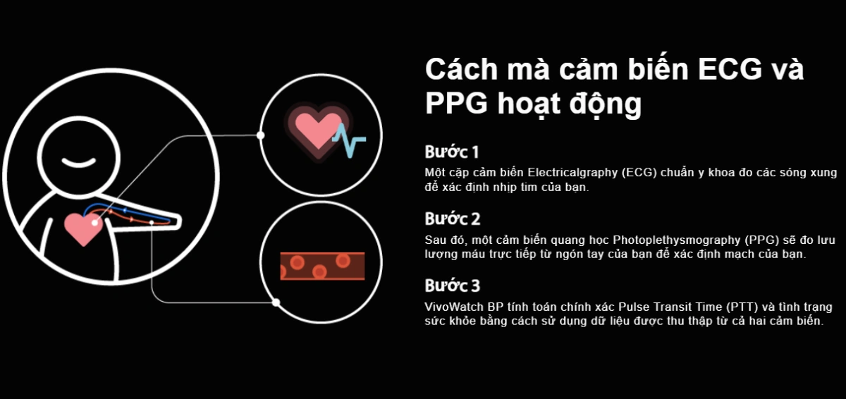 ASUS VivoWatch BP HC-A04 cảm biến ECG và PPG