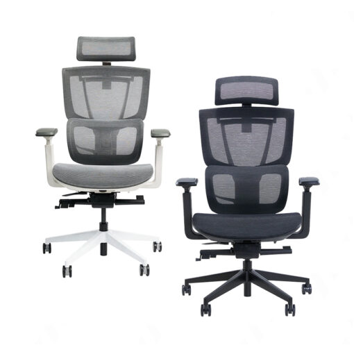 Ghế công thái học Epione ErgoChair Pro 2.0