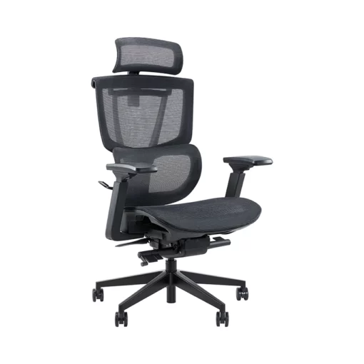 Ghế công thái học Epione ErgoChair Pro 2.0 Đen