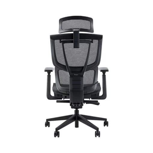 Ghế công thái học Epione ErgoChair Pro 2.0 Đen