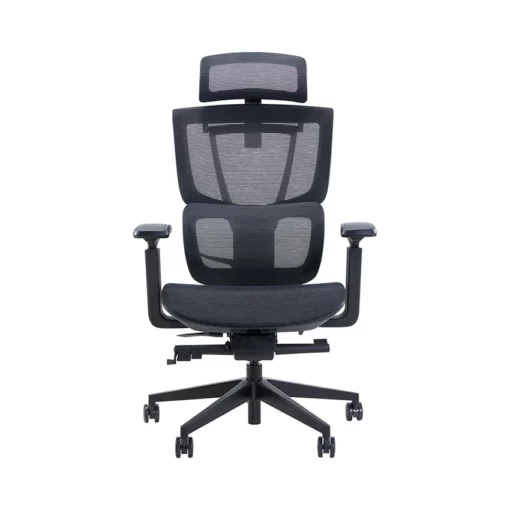 Ghế công thái học Epione ErgoChair Pro 2.0 Đen