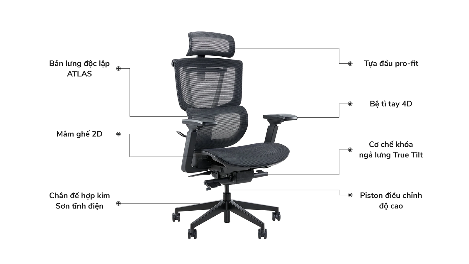 Ghế công thái học Epione ErgoChair Pro 2.0