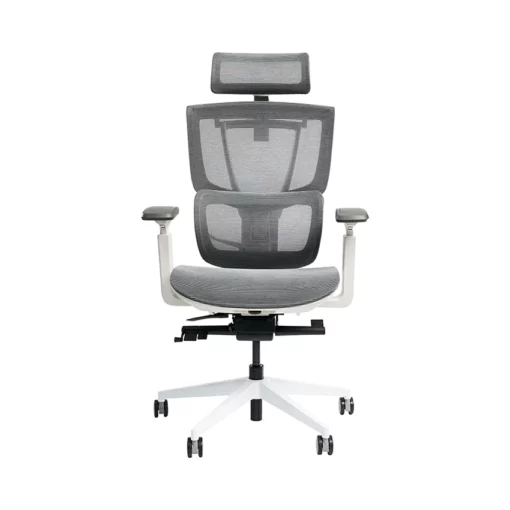 Ghế công thái học Epione ErgoChair Pro 2.0 Xám