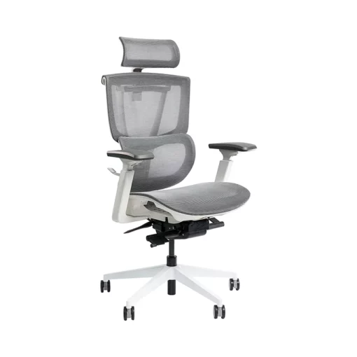 Ghế công thái học Epione ErgoChair Pro 2.0 Xám