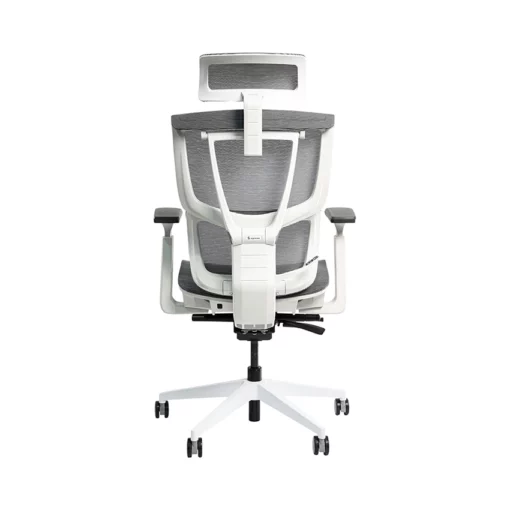 Ghế công thái học Epione ErgoChair Pro 2.0 Xám