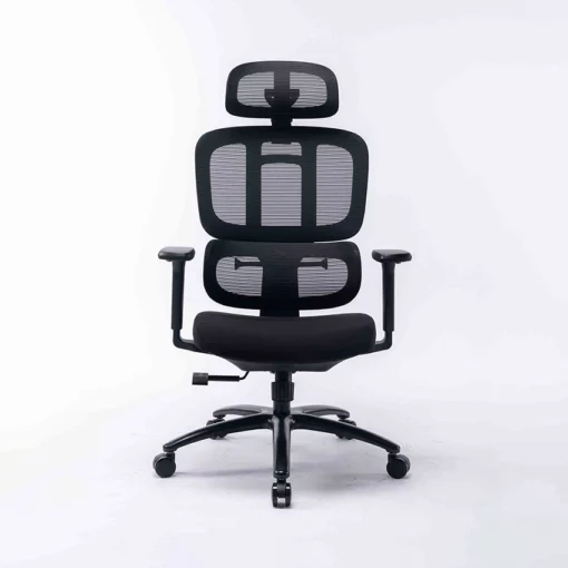 Ghế công thái học Ergonomic WARRIOR WEC509 Black