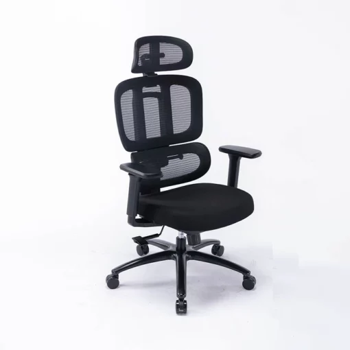 Ghế công thái học Ergonomic WARRIOR WEC509 Black