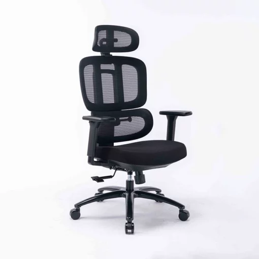 Ghế công thái học Ergonomic WARRIOR WEC509 Black