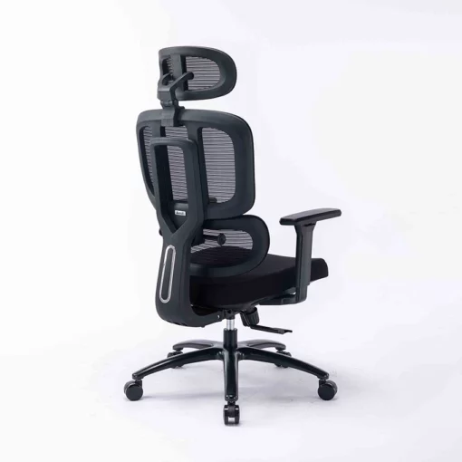 Ghế công thái học Ergonomic WARRIOR WEC509 Đen