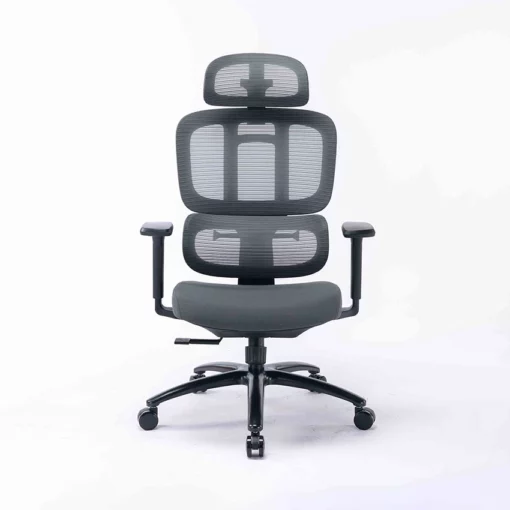 Ghế công thái học Ergonomic WARRIOR WEC509 gray