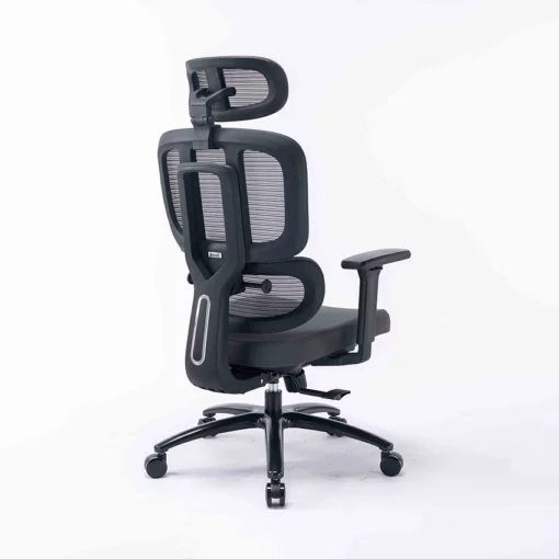 Ghế công thái học Ergonomic WARRIOR WEC509 gray