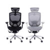 Ghế Công thái học GTChair IFit Smile Đen | Trắng chính hãng giá rẻ Cần Thơ