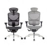 Ghế Công thái học GTChair ISEE X chính hãng giá rẻ Cần Thơ