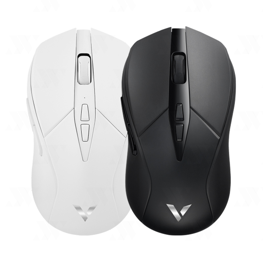 Chuột Gaming Rapoo V300SE