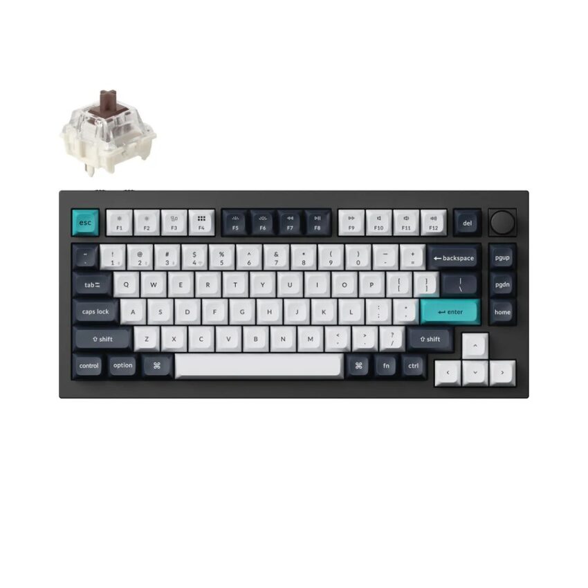 Brown Switch