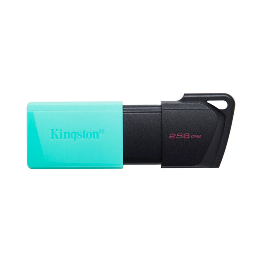 USB Kingston DataTraveler Exodia M 256GB (DTXM/256GB)