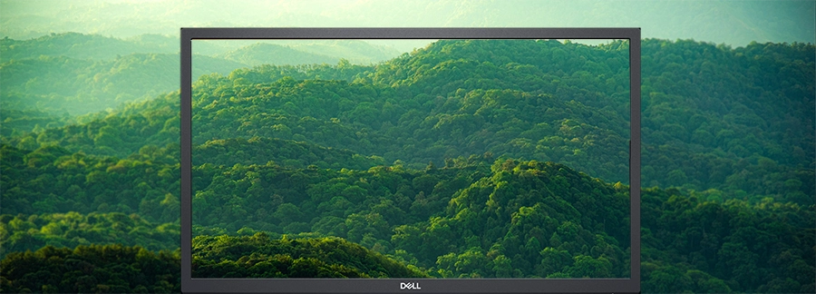 Màn hình Dell 22 Monitor SE2225H 21.5" FHD VA 75Hz 5ms
