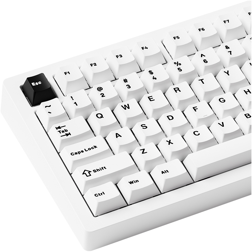 Bàn phím cơ AKKO MonsGeek M1 V5 Black on white (Multi-mode / Mirror Switch) - Ảnh 8