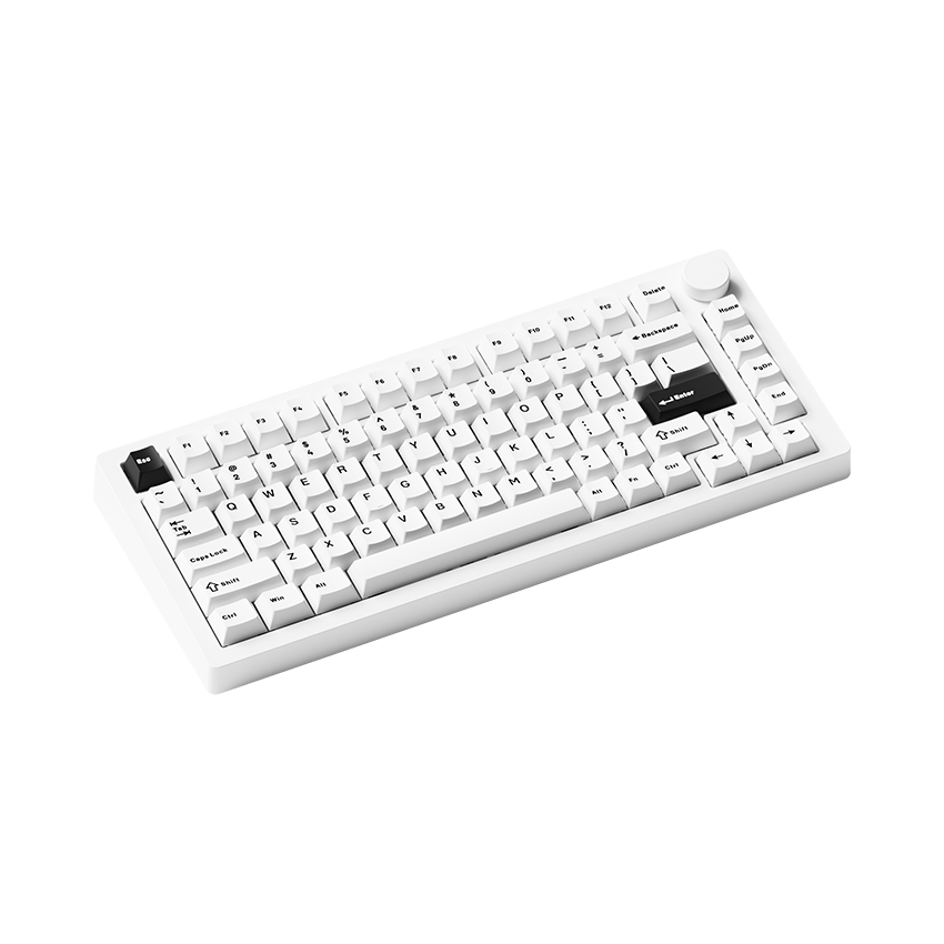 Bàn phím cơ AKKO MonsGeek M1 V5 Black on white (Multi-mode / Mirror Switch) - Ảnh 5