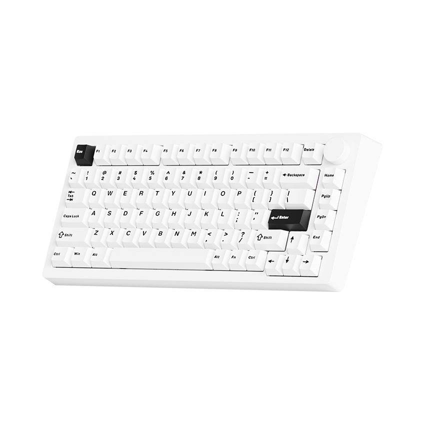 Bàn phím cơ AKKO MonsGeek M1 V5 Black on white (Multi-mode / Mirror Switch) - Ảnh 7