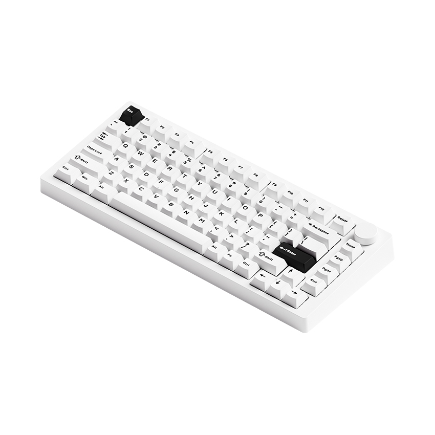Bàn phím cơ AKKO MonsGeek M1 V5 Black on white (Multi-mode / Mirror Switch) - Ảnh 4
