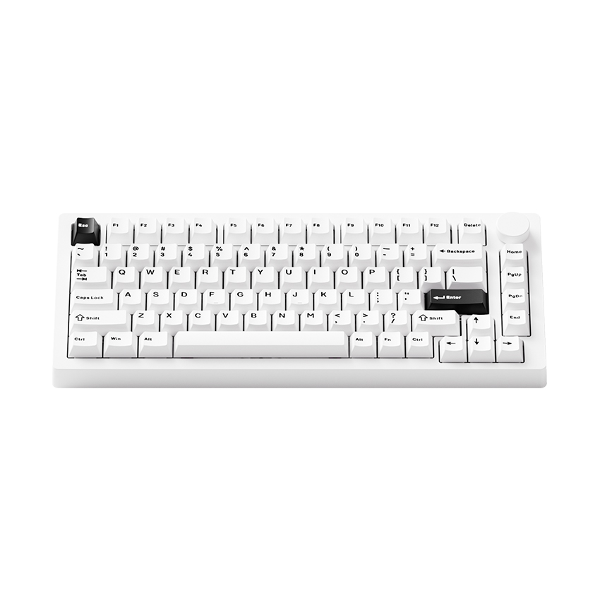Bàn phím cơ AKKO MonsGeek M1 V5 Black on white (Multi-mode / Mirror Switch) - Ảnh 6